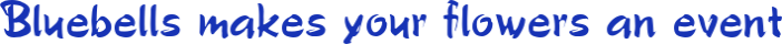 www.bluebells.co Logo